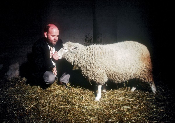 Dolly, o primeiro animal clonado através da clonagem reprodutiva, em 1997.