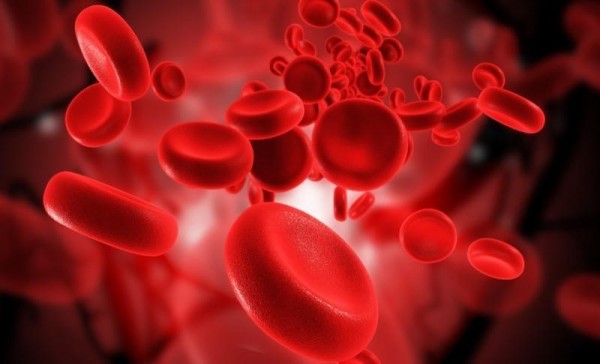 células estaminais do sangue