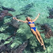Instagrammer é mordida ao nadar com tubarões nas Bahamas