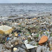 Cientistas criaram plástico que se decompõe na água do mar