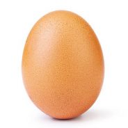 Instagram: Conheça o ovo que superou o recorde de Kylie Jenner