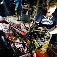 Baleia encontrada morta nas Filipinas, tinha 40 quilos de plástico no estômago